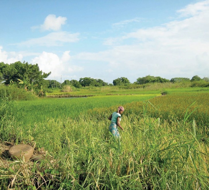 Case Study #2: Quelimane, Mozambique