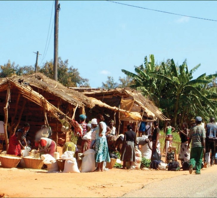 Case Study #1: Serving Together with the African Church